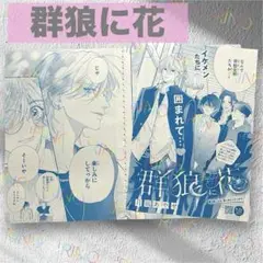 【群狼に花】月凪あやせ　別冊フレンド　講談社　切り抜き