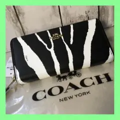 新品未使用 COACH コーチメンズ長財布 ブラック ゼブラ柄 正規品