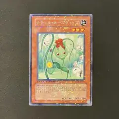 遊戯王　ナチュル・ローズウィップ　DT字レア　パラレル　1枚
