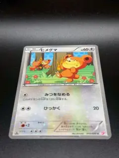 PSA10　鑑定品　ヒメグマ　066 PSA10鑑定済〕ヒメグマ【P】{010/L-P}