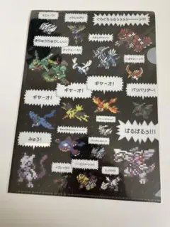 未開封　ポケモン　A4クリアファイル なきごえ