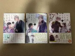 わたしの幸せな結婚5〜7巻セット　顎木あくみ