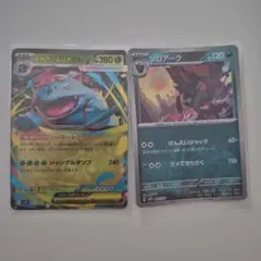 ゾロアーク(モンボ) メガフシギバナex セット