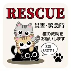 Item thumbnail for item 4987c014-fc9c-4619-864d-b5dbd232a580