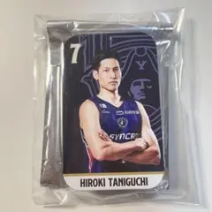 Item thumbnail for item 58a9c0fc-f280-448f-b206-13f01239bbb0