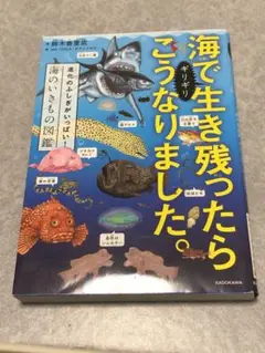 海でギリギリ生き残ったらこうなりました。 進化のふしぎがいっぱい!海のいきもの…のサムネイル