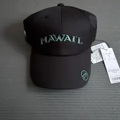 Rosasenメンズツイルキャップ【University of Hawaii 】