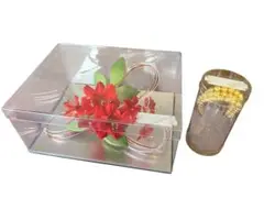 Item thumbnail for item 47f62143-065a-48bf-9a85-1c39b6e50032