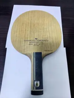 張本智和インナーフォースZLC・ST