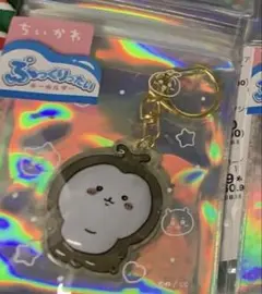 ぷっくりたい アクリルキーホルダー
