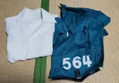 Item thumbnail for item 248ca0f6-b94d-44bf-9ed5-c14cace92dcd