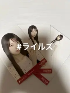 矢田萌華 ドット 3種コンプ 乃木坂46 生写真
