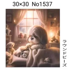 ダイヤモンドアートキット　No1537 お家と犬