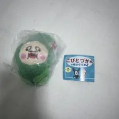 こびとづかんのぬいぐるみ2