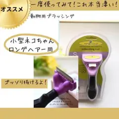 Item thumbnail for item db58e302-ae13-4c15-8f8c-2b760809a35a