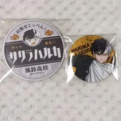 桜遥　缶バッジ　一番くじ　ウィンブレ展