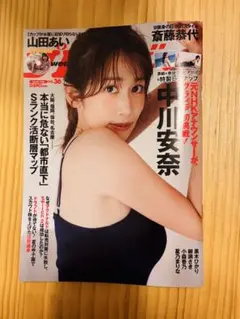 プレイボーイ　no.36 中川安奈(DVD無し)