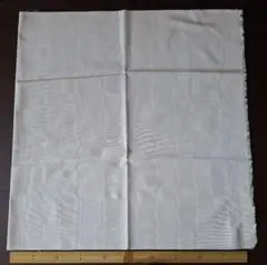 薄いクリーム色？ベージュのモアレ生地 100cm x 50cm
