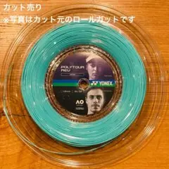 YONEX ポリツアーレブ 125 ミント 約12Mx2