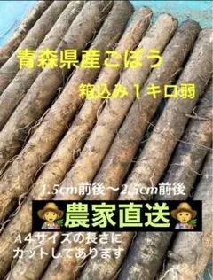 青森県産ごぼう