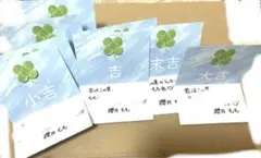 櫻井もも 君はこの夏、恋をする 恋みくじ