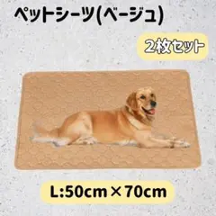 Item thumbnail for item 0c2c0465-5e7b-4dd0-975e-d95734a532d2