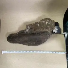 Item thumbnail for item 9cf9e677-8fc2-4a8d-9b8a-ee595c3e8d12