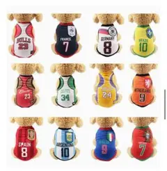 Item thumbnail for item 727bb7f7-ef47-45b4-bcb9-bf02e52abf20