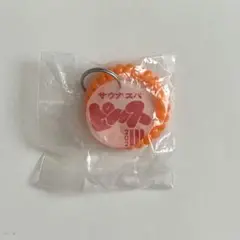 架空サウナロッカーキーvol.3 ガチャ　サウナスパ ピース