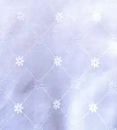 Item thumbnail for item d18ee162-deda-4414-bc62-d4abc68e267c