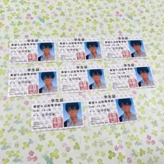 光が死んだ夏　辻中佳紀　よしき　学生証風カード　特典　8枚　セット　初回版
