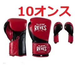 トレーニング用グローブ【トレーニング用 ベルクロ式】10オンス