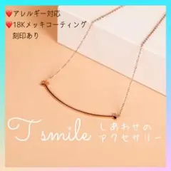 送料無料❤️ 医療用ステンレス 金属アレルギー Tスマイルネックレス お洒落
