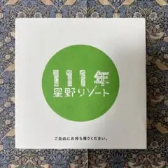 111年 星野リゾート 情報誌