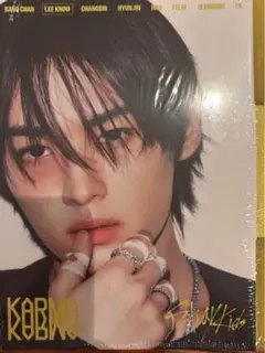 straykids スキズ KARMA アコーディオン リノ 開封済