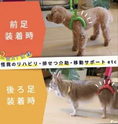 Item thumbnail for item c6b4e421-700a-43f4-9e99-569bc6e16eb8