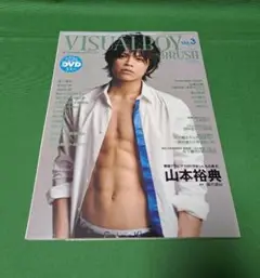VISUALBOY BRUSH Vol.3 ビジュアルボーイ ブラッシュ DVD
