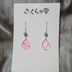 さくらの雫A 試作品