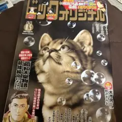 ビッグコミックオリジナル15号