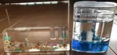置物　海
