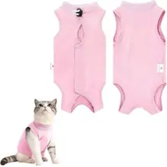 Item thumbnail for item 27bd4b6d-61a8-411e-a1fe-fcccb18d8e20