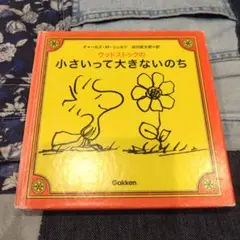 Item thumbnail for item fd98086e-c275-4e04-94bc-f116a45c0703