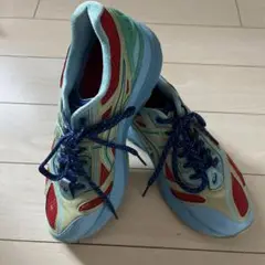 kiko kostadinov X Asics gel-korika 24cm