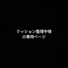 コレクション整理中様 リクエスト 2点 まとめ商品