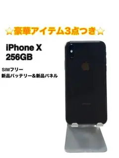 【美品】iPhone X 256GB SIMフリー バッテリー最大容量100%