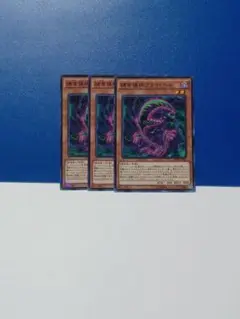 遊戯王　捕食植物フライ・ヘル　３枚
