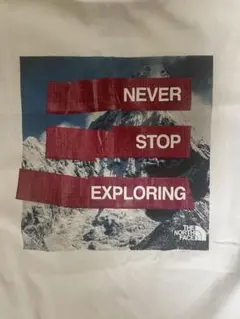 THE NORTH FACE ノースフェイス　tシャツ 海外企画