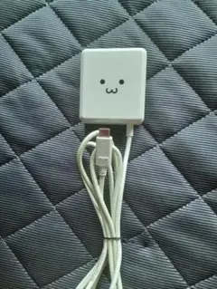 ELECOM USB Type-C充電器 ADP3-013