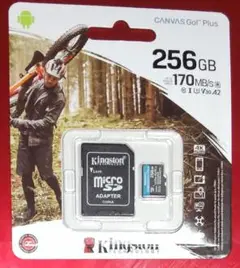 Kingston Canvas Go! Plus 256GB MicroSD