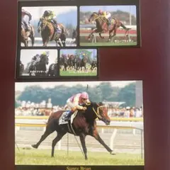 競馬。サニーブライアン。ポストカード、シール。有馬記念パンフレット。